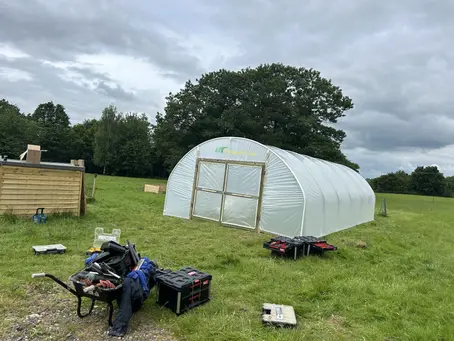Using a Domestic Polytunnel for Commercial Growing