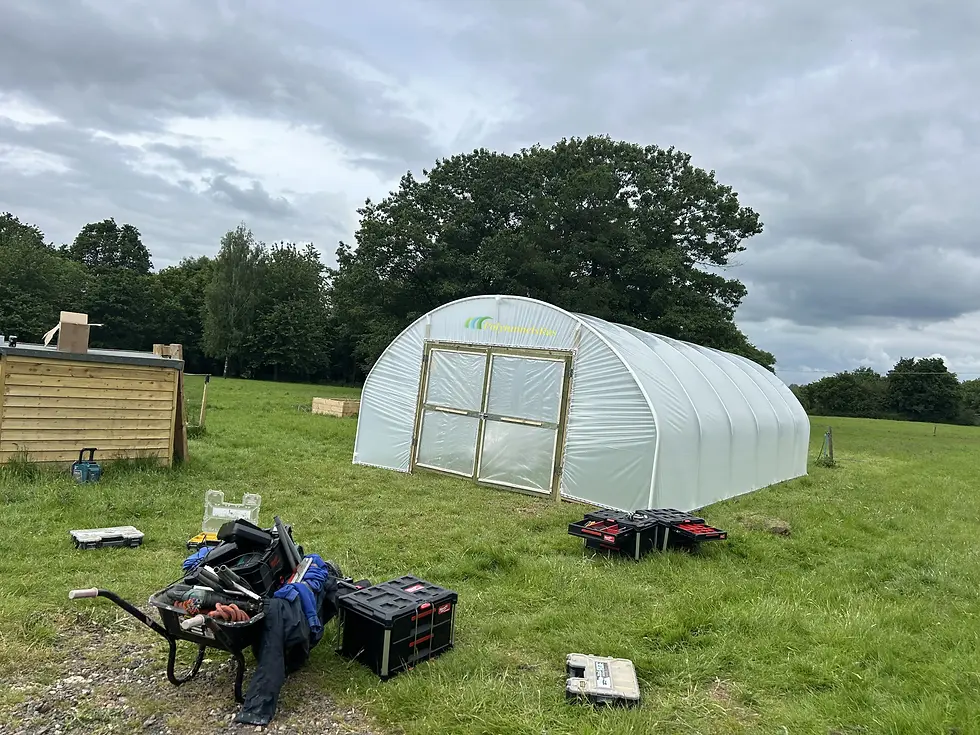 Using a Domestic Polytunnel for Commercial Growing