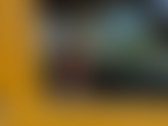 Pet Taxi vs Transporte Próprio: qual é a opção mais segura para o seu animal?