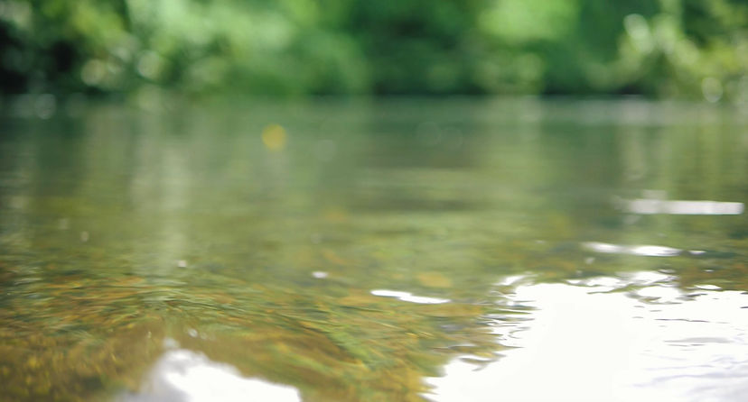 Screenshot 2025-11-04 at 3.36.17 PM.jpeg