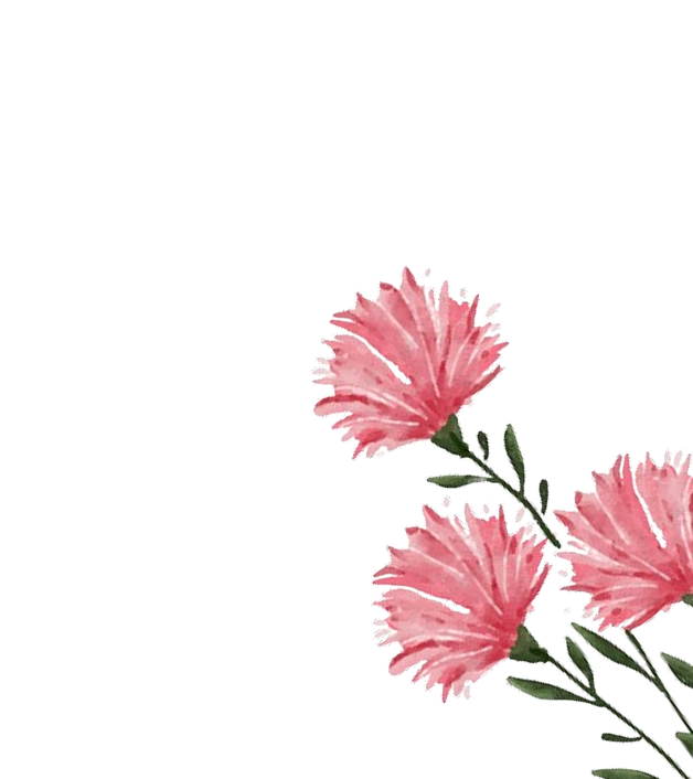 unsplash_y9zudfG6CDY-removebg-preview 1.png