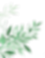 image 100.png