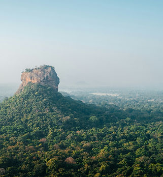 sander-traa-uxC6EElorgo-unsplash (2).jpg