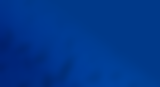 form gradient (1).png