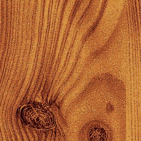 Knotty Pine
