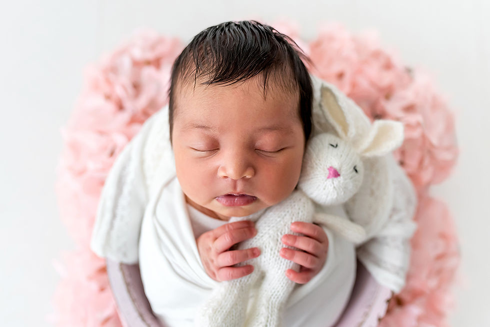 Photographe nouveau-né Nantes, Photographe bébé Nantes, Photographe naissance Nantes, Photographe studio Nantes, bébé emmaillloté couché dans un seau entouré de fleurs hortensia roses avec un doudou lapin dans les mains