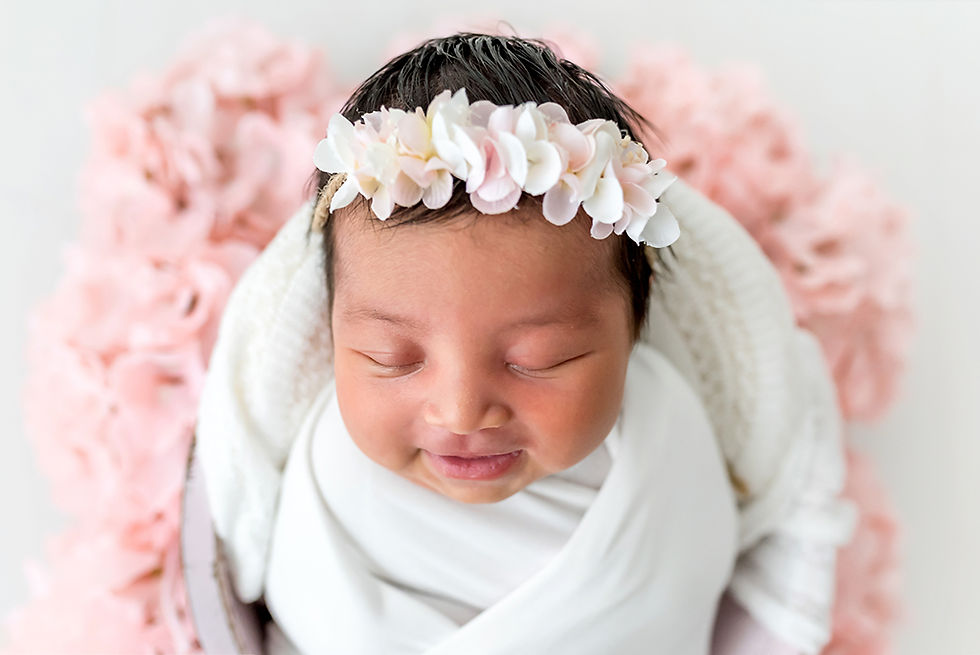 Photographe nouveau-né Nantes, Photographe bébé Nantes, Photographe naissance Nantes, Photographe studio Nantes, bébé emmaillloté couché dans un seau entouré de fleurs hortensia roses