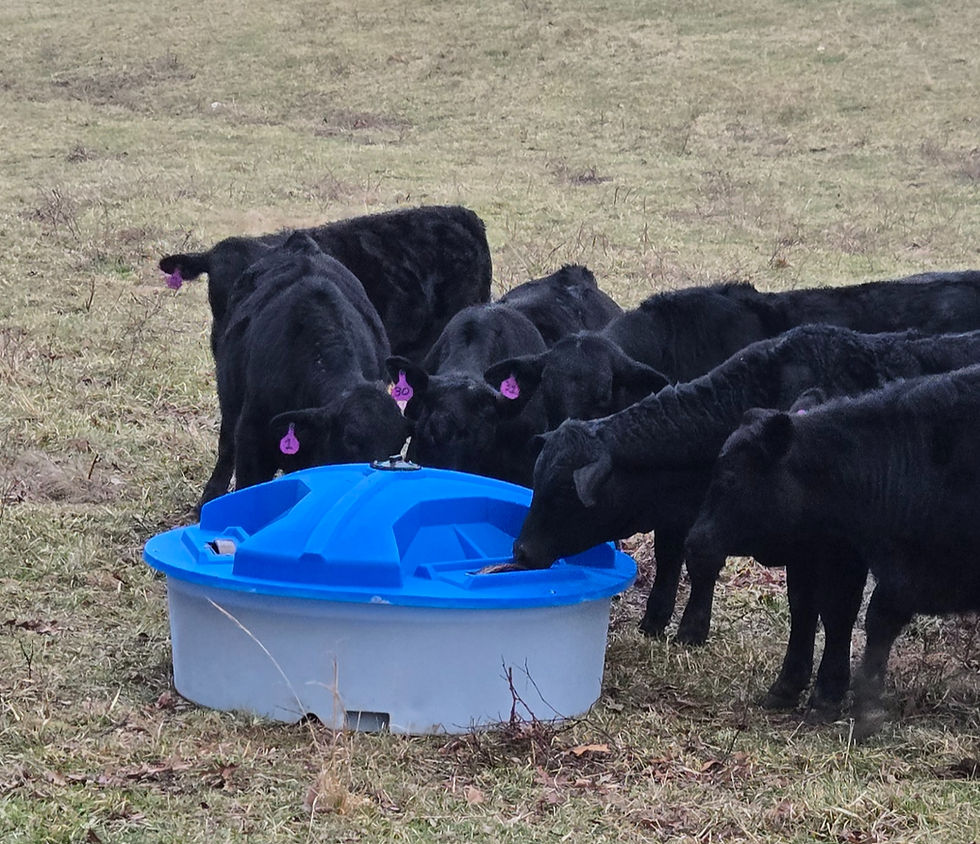 Thumbnail: 150 gallon Lick tank