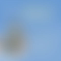 หน้าหนาว นกต้องระวังอะไร?