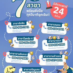 🏥🐾 โรงพยาบาลสัตว์ยูเว็ท รักษาสัตว์ครบวงจร✨