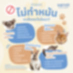 ภาพอินโฟกราฟิกแสดงความเสี่ยงของสัตว์เลี้ยงแต่ละชนิดหากไม่ทำหมัน เช่น มดลูกอักเสบ พฤติกรรมก้าวร้าว การตั้งท้องไม่พึงประสงค์ และโรคจากฮอร์โมน
