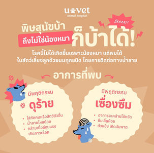 🦠 พิษสุนัขบ้า ไม่ใช่น้องหมาก็บ้าได้ ‼️