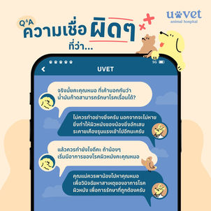 น้ำมันก๊าด รักษาโรคเรื้อนได้จริงหรือ?