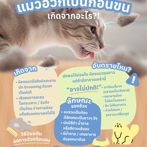 แมวอ้วกเป็นก้อนขน เกิดจากอะไร อันตรายไหม? พร้อมวิธีดูแลและป้องกันแบบเข้าใจง่าย