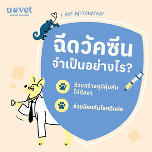 ฉีดวัคซีนจำเป็นอย่างไร?