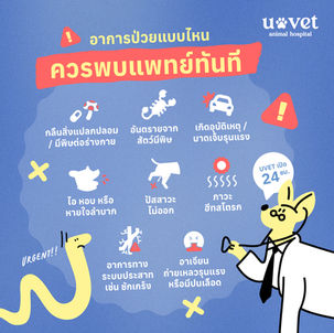 อาการป่วยแบบไหนที่ควรพบแพทย์ทันที⁉️