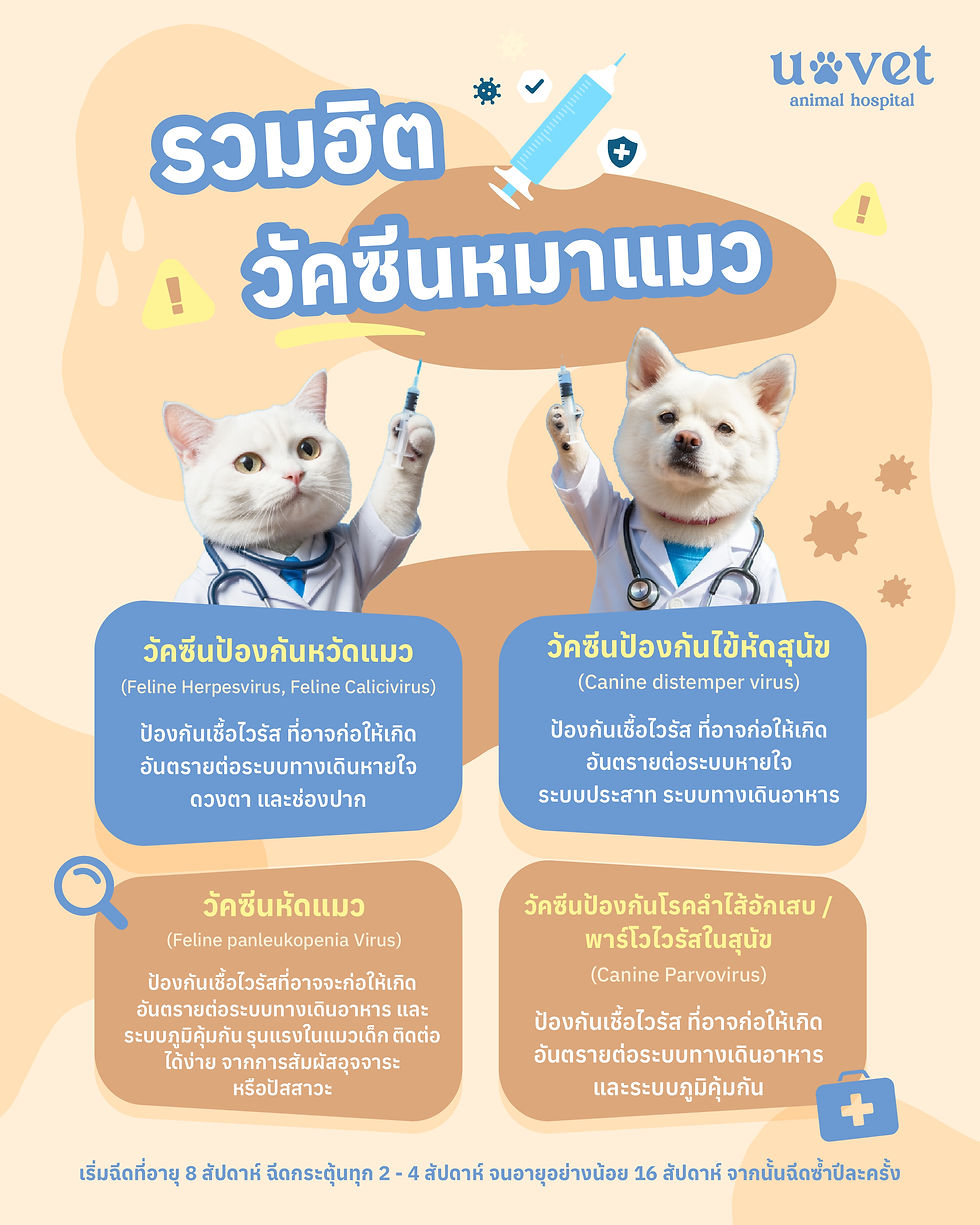 วัคซีนสุนัขและแมว ป้องกันโรคไข้หัด พาร์โว หวัดแมว และหัดแมว