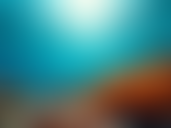 Eco Diving Adventures in Bermuda