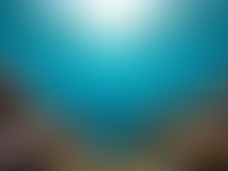 Experience Bermuda’s Vibrant Underwater World