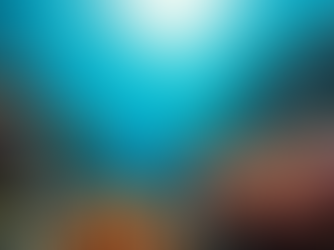 Explore Bermuda’s Top Dive Sites