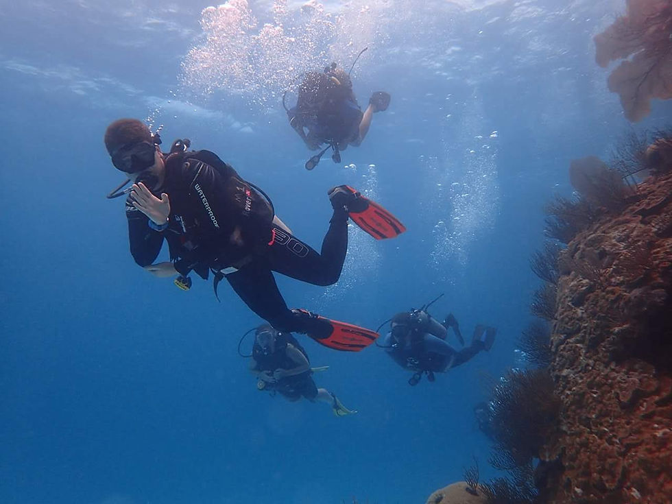 WhatsApp Image 2025-05-16 at 16.18.55.jpeg