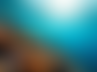 Unveiling Bermuda's Top Diving Spots