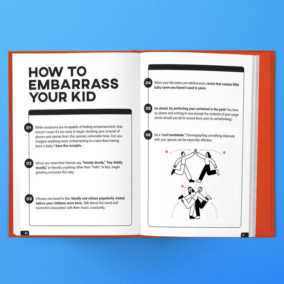 TheDadManual-image4