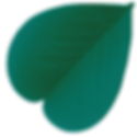 grünes Kleeblatt Better Now Online Marketing_edited_edited.png