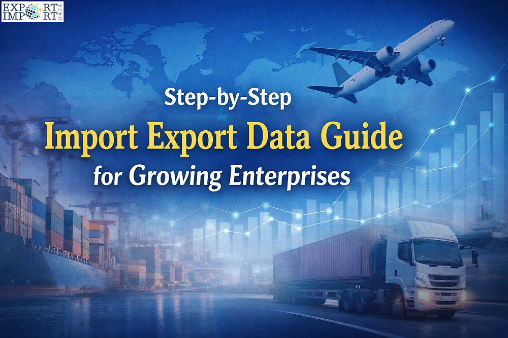 Implementation Data Import Transport Step-by-Step Import Export Data Guide for Growing Enterprises