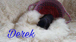 27750362_965271856954538_3331142684460374755_n