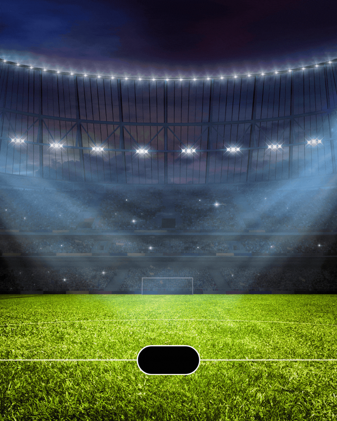 GIF SUPPORTERS GAME 02.gif