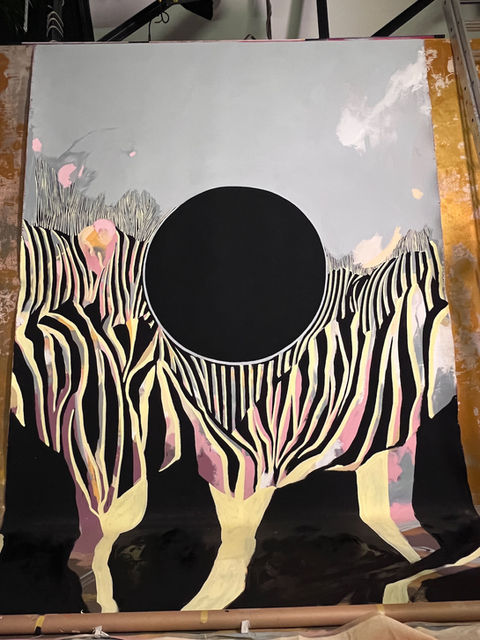 SPOT & STRIPES 3X5m acrylic on canvas.jpg
