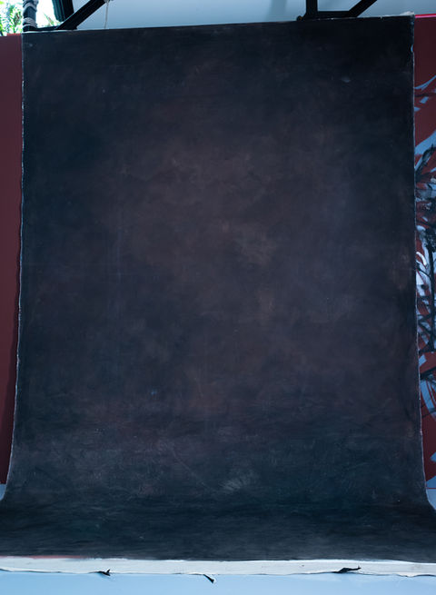 BURNT BROWNS 3X5m oil on canvas 1.jpg