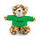 Thumbnail: Stuffed Animals with Tee