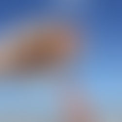 Regras Universais do Zazen