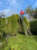 HedgeCutting