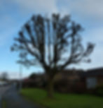 Re-pollard In Hinckley After Work