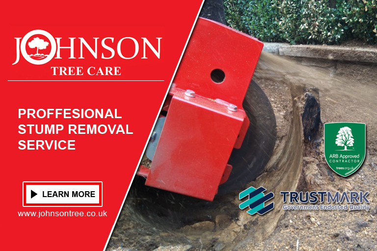 Stump Removal Johnson Tree Care