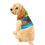 Thumbnail: Pet Hoodie, from the anura kingdom  