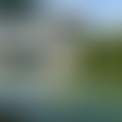 小田原の夏🌞小さな旅とサマー・ラブ🍺