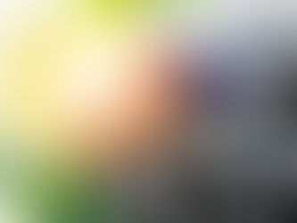 How will second-use of batteries affect stocks and flows in the EU? A model for Li-ion battery