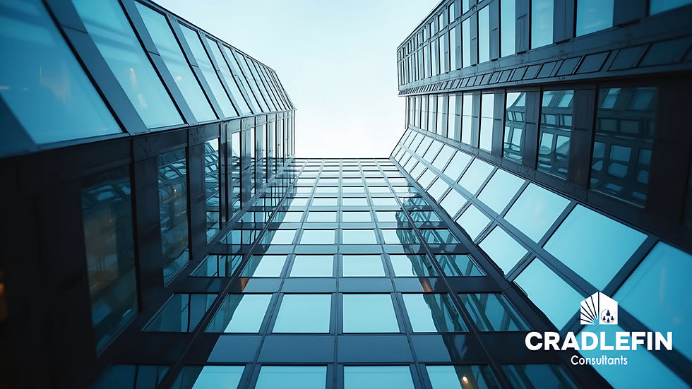 Understanding the Expertise of Cradlefin Group: Financial Solutions Experts