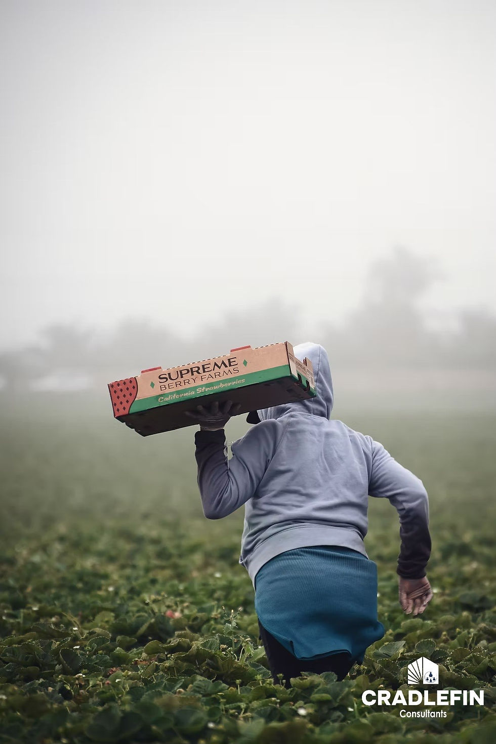 The Challenges An Immigrant Faces In The UK