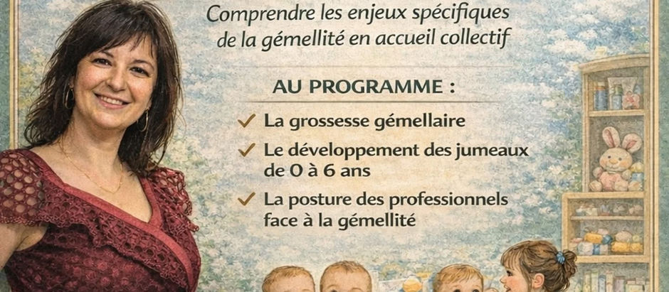 Cours sur la gémellité aux futurs professionnels Petite Enfance et du Médico-social