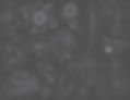 main_bg2.jpg