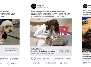 IndyVet FB Ads.png