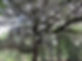 8C32512B-DC36-4D3E-A132-5A6B5F0E5730_1_1