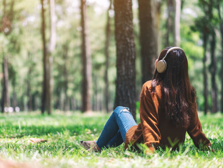 Musical Connection 