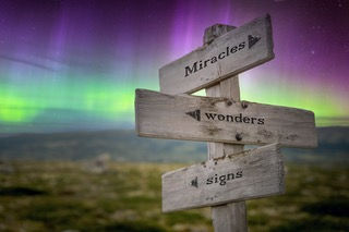 Subtle Miracles