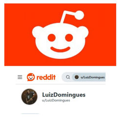 Luiz Domingues Reditt